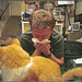 Justin Downing Photo 22