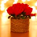 Roby Rose Photo 4