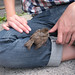 Bertrand Sparrow Photo 4