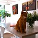 Tuan Trinh Photo 17