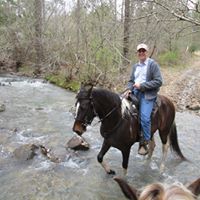David Proctor Photo 34