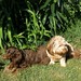 Julie Wiener Photo 28