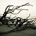 Christine Talbot Photo 13