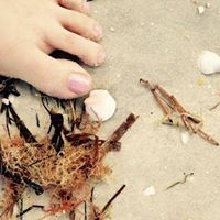Julie Qualls Photo 23