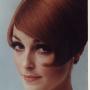 Sharon Tate Photo 20