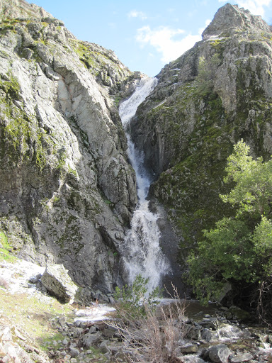 Richard Gehring Photo 4