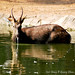 Guang Xiang Photo 18