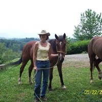 Janet Hutchins Photo 7