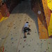 Bryan Li Photo 27