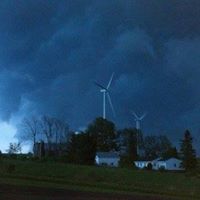 Steve Pedersen Photo 18
