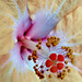 Jill Kasper Photo 7