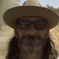 David Metcalf Photo 42