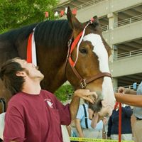 Christopher Huffman Photo 5