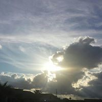 Cynthia Browning Photo 44