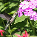 Richard Murrell Photo 35