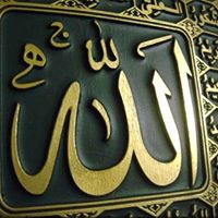 Mohamed Aziz Photo 8