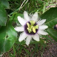 Danita Hardy Photo 4