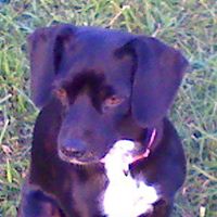 Constance Roberts Photo 15