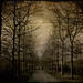 Christopher Rodgers Photo 23