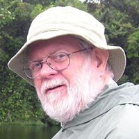 John Park Photo 17