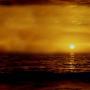 Gayle Howell Photo 17