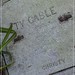 Christy Cable Photo 7