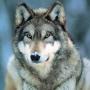 Brian Workman Photo 44
