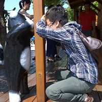 Gui Zheng Photo 14