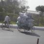 Ronald Peterson Photo 11