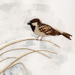 Elizabeth Sparrow Photo 17