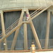 Stacy Bowen Photo 10