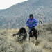 Brenda Fraser Photo 9