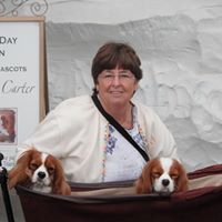 Connie Summers Photo 24
