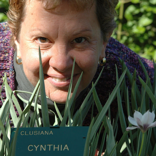 Cynthia Jorgensen Photo 12