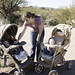 Traci Wyatt Photo 24