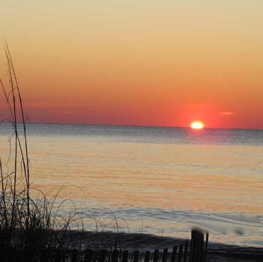 Greg Rowe Photo 28
