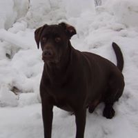 James Schultz Photo 15