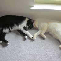 Sharon Pickering Photo 18