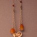 Amber Shell Photo 15