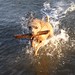 Crystal Lytle Photo 14