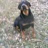 Willie Matthews Photo 8