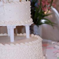 Shelly Hahn Photo 15