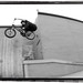 Daniel Goldman Photo 25