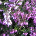 Erica Winters Photo 16