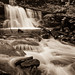 Sean Ricketts Photo 37
