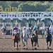 Anita Gates Photo 27