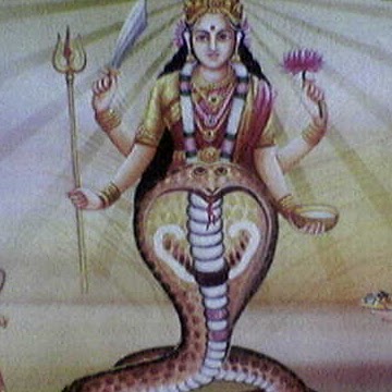 Shankar Singh Photo 24