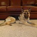 Kelli Shepherd Photo 22