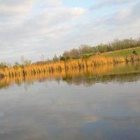 Darryl Crim Photo 9