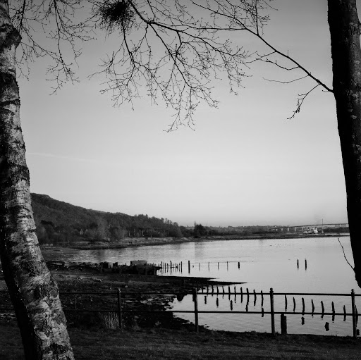 Julia Volpe Photo 22